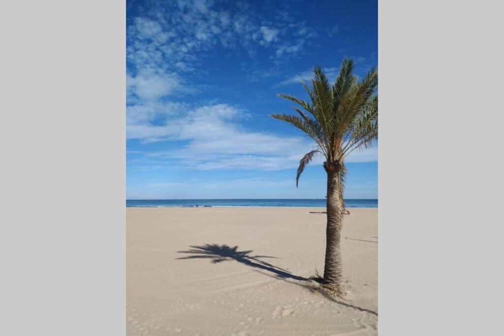 Apartament El Alema I. Apartamento De Diseno En Gandia. Zewnętrze zdjęcie